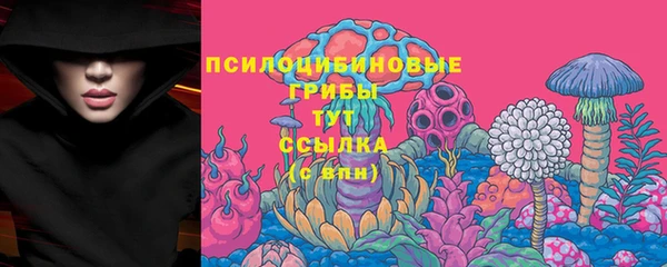 скорость Баксан